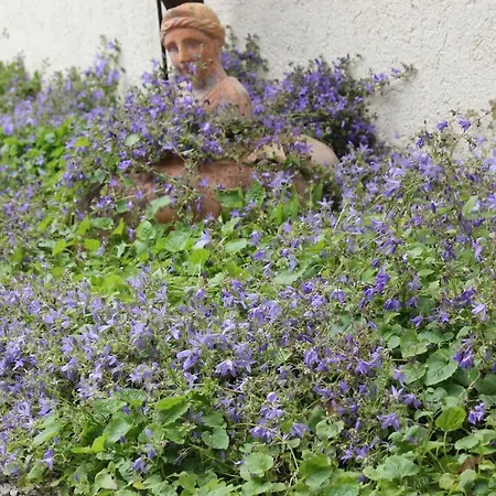 Ferienidyll Aumuehle, 